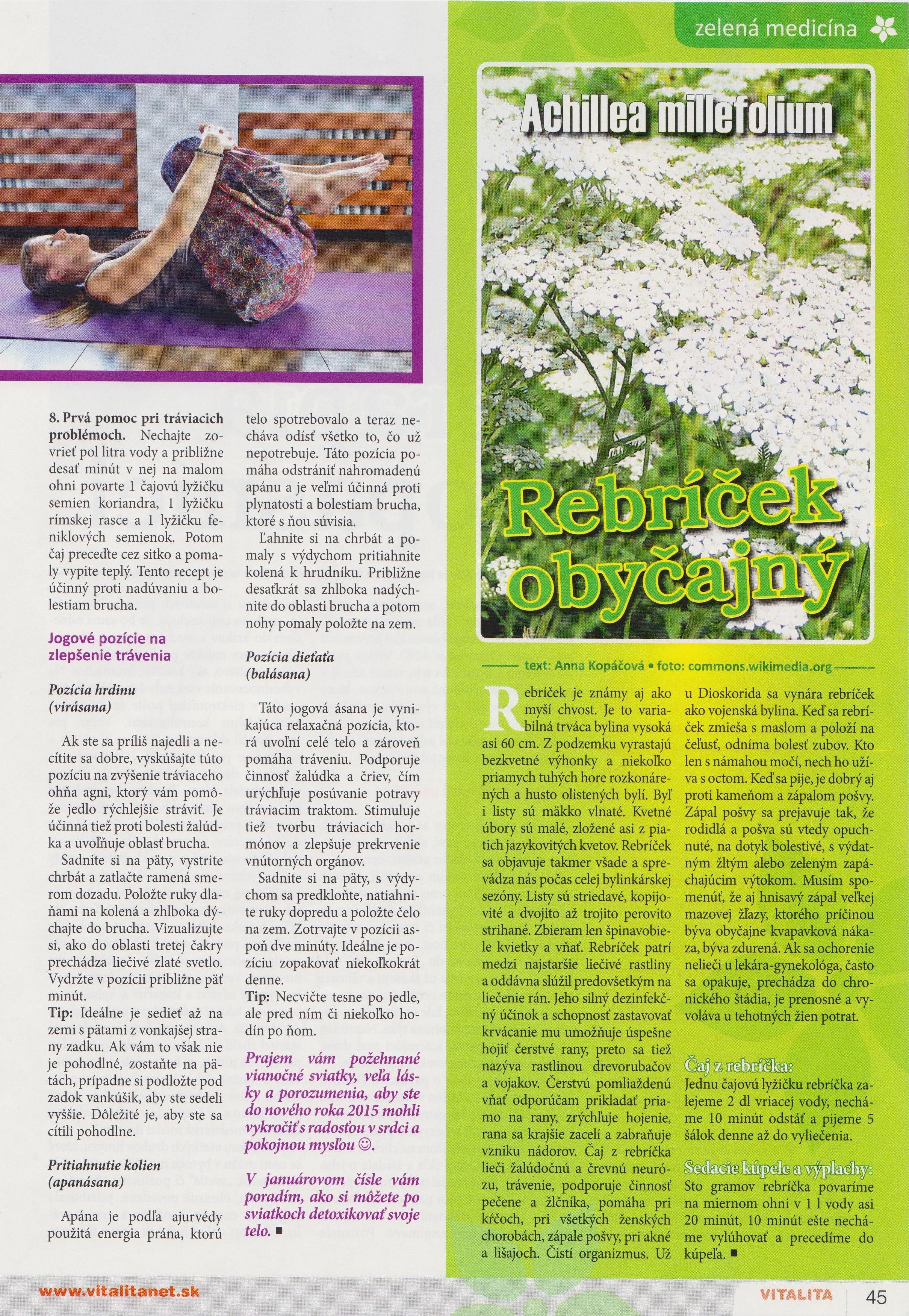 Vitalita 12_2014 - Ako pomôcť tráveniu počas sviatkov_str.2